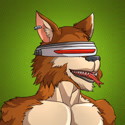 Wolf#79