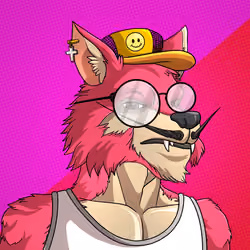 Wolf#847