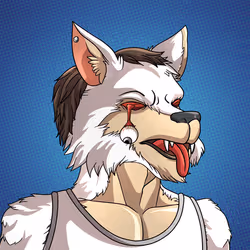 Wolf#808