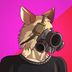 Wolf#244