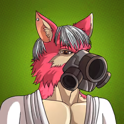 Wolf#1620