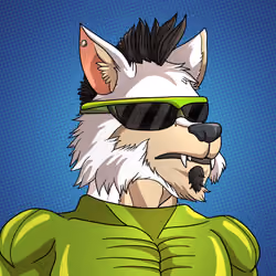 Wolf#523