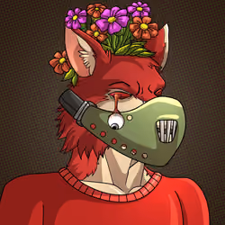 Wolf#1508