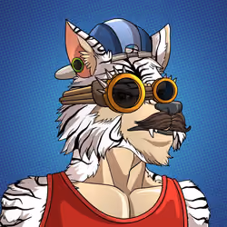 Wolf#964