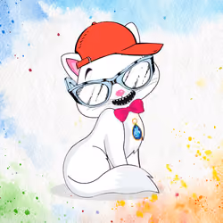 6