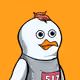 7966