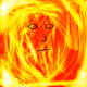 52