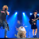 ACDC cat