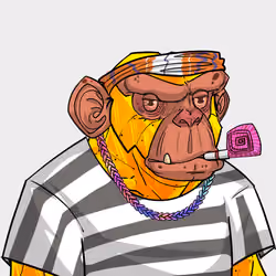 The Wild Ape Gang #1262