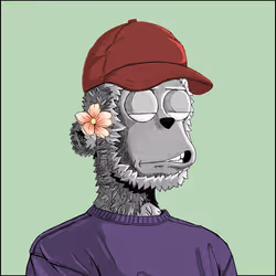 204