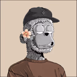 494