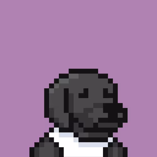 Degencompanions