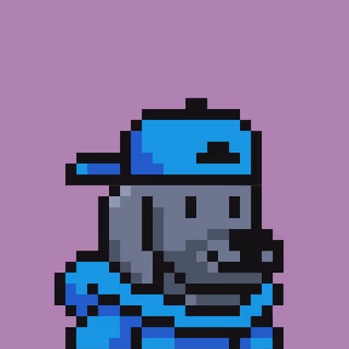 Degencompanions