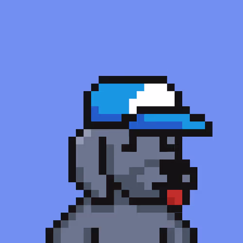 Degencompanions