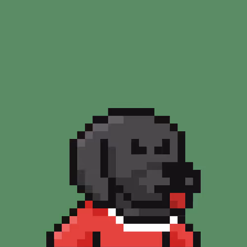 Degencompanions