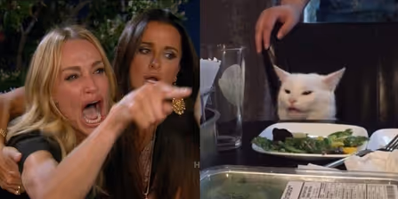 Woman yelling at a cat V3
