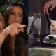Woman yelling at a cat V3