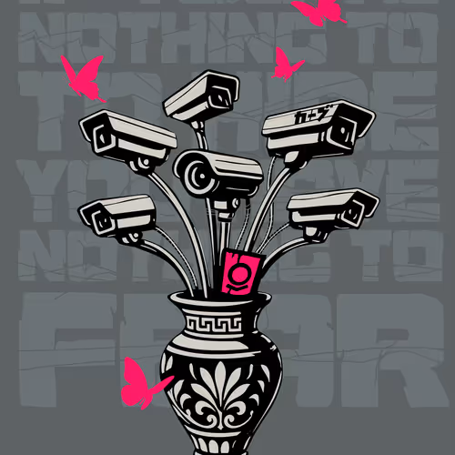 Palantir (If you've nothing to hide you have nothing to fear)