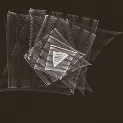 BAI Artwork: Aave TUSD (5)