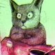 cats? seriously? luluxXX