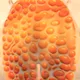 290