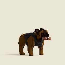 1 Of 1 - Dog #4652