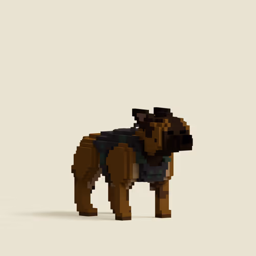 1 Of 1 - Dog #4739