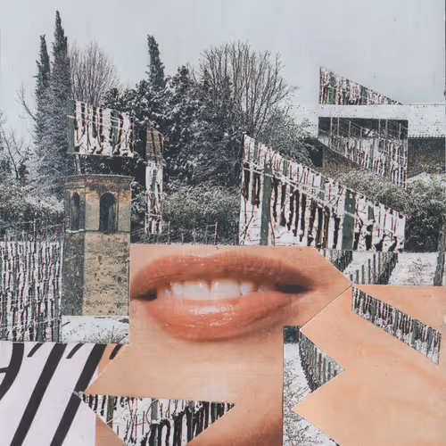 1mouth Analog By Miirror