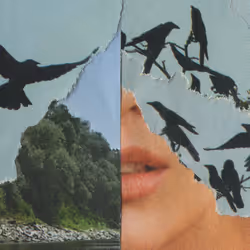 1mouth analog #164
