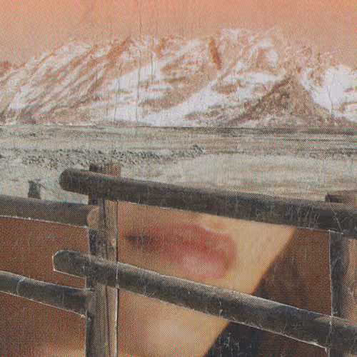 1mouth Analog By Miirror