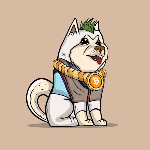 The Doge Army #1009