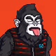 2626