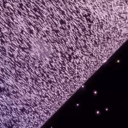 57896044618658097711785492504343953926975274699741220483524208004715104960513