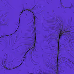 55