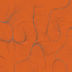 53