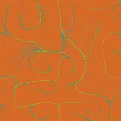 79