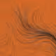 202