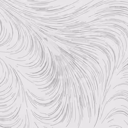 65