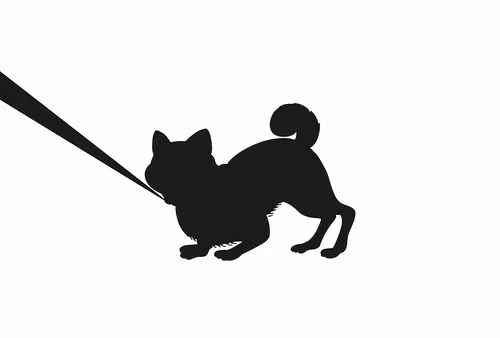 Shibapulls