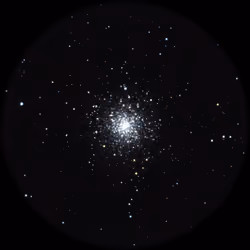 M79