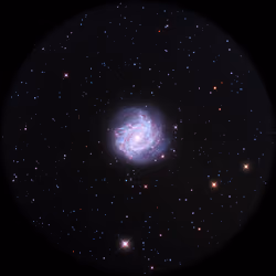 M83