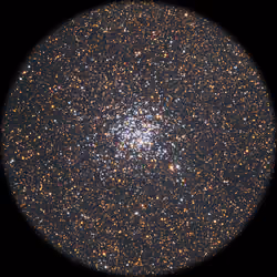 M11