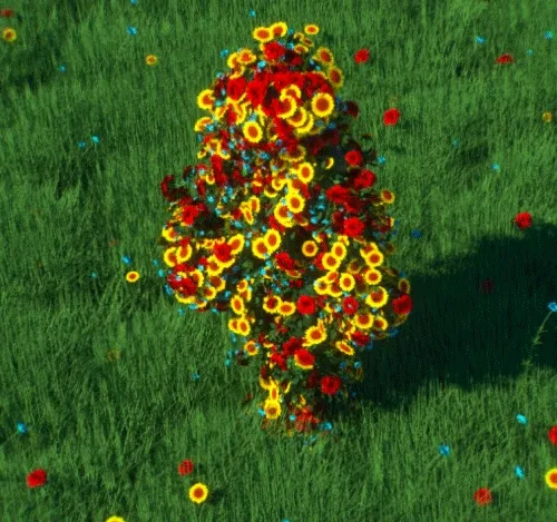 Flora Warriors