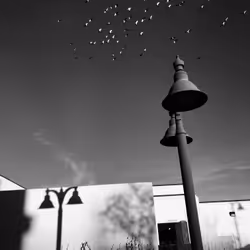 89