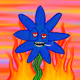582