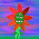 681