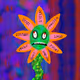 648