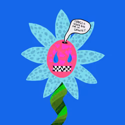 #526
