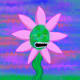 4255