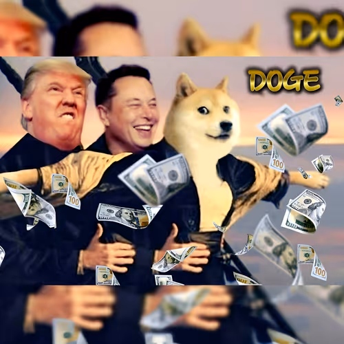 Doge Love